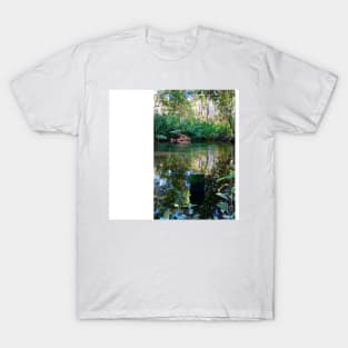 celestun ria wetland ecopark ecopop landscape photo in yucatan eye of the water green park T-Shirt